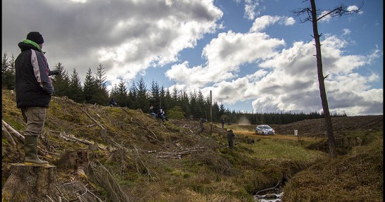 Pirelli Rally